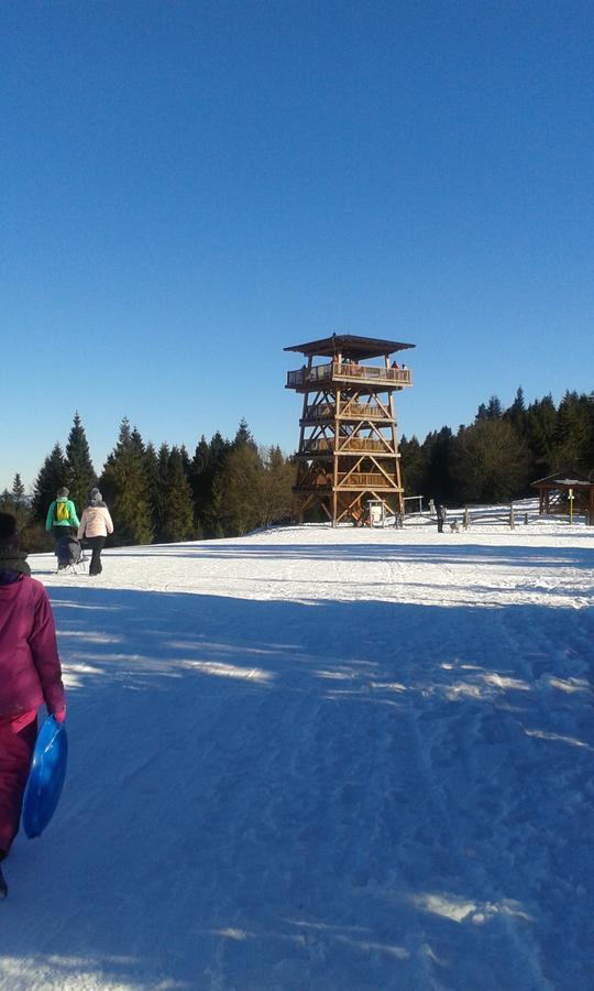 Červený Kláštor Ubytovanie Sokolica מראה חיצוני תמונה